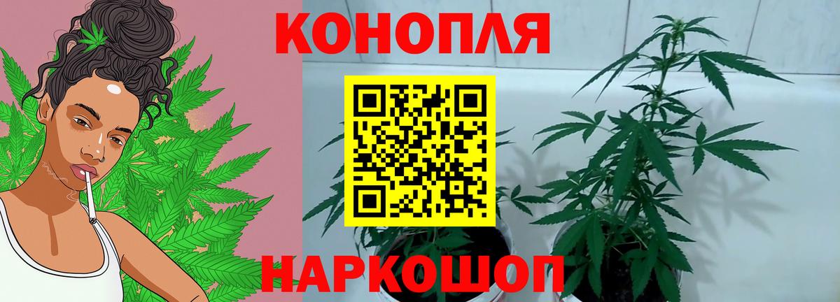 Лабинск  Каннабис Amnesia  Шишки марихуана планчик  Бошки Шишки план  Вход с VPN  Шишки марихуана план 